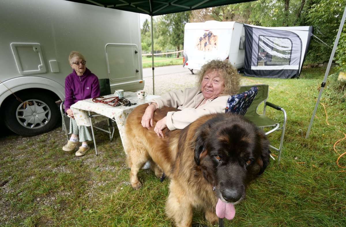 Louise Baldwin (rechts) und Madeleine Jephcott (links) sind für die Clubschau der Leonberger Hunde aus Großbritannien angereist.
