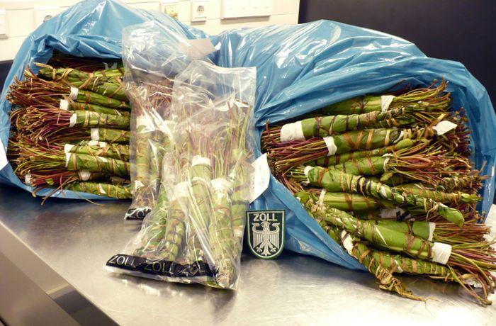 Drogenfund am Flughafen München: Über eine Tonne Khat beschlagnahmt