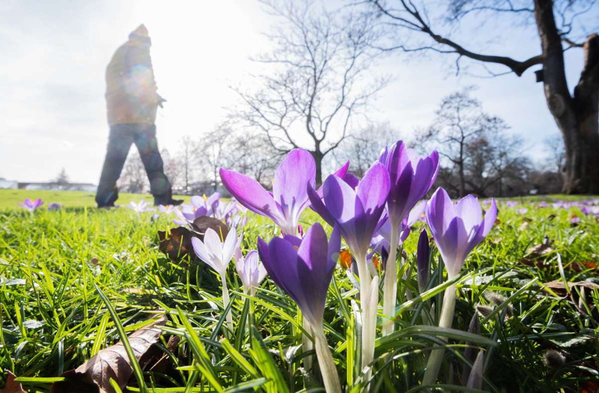 Wetter in Deutschland: Frühlingsgefühle können bleiben – Temperaturen bis 21 Grad