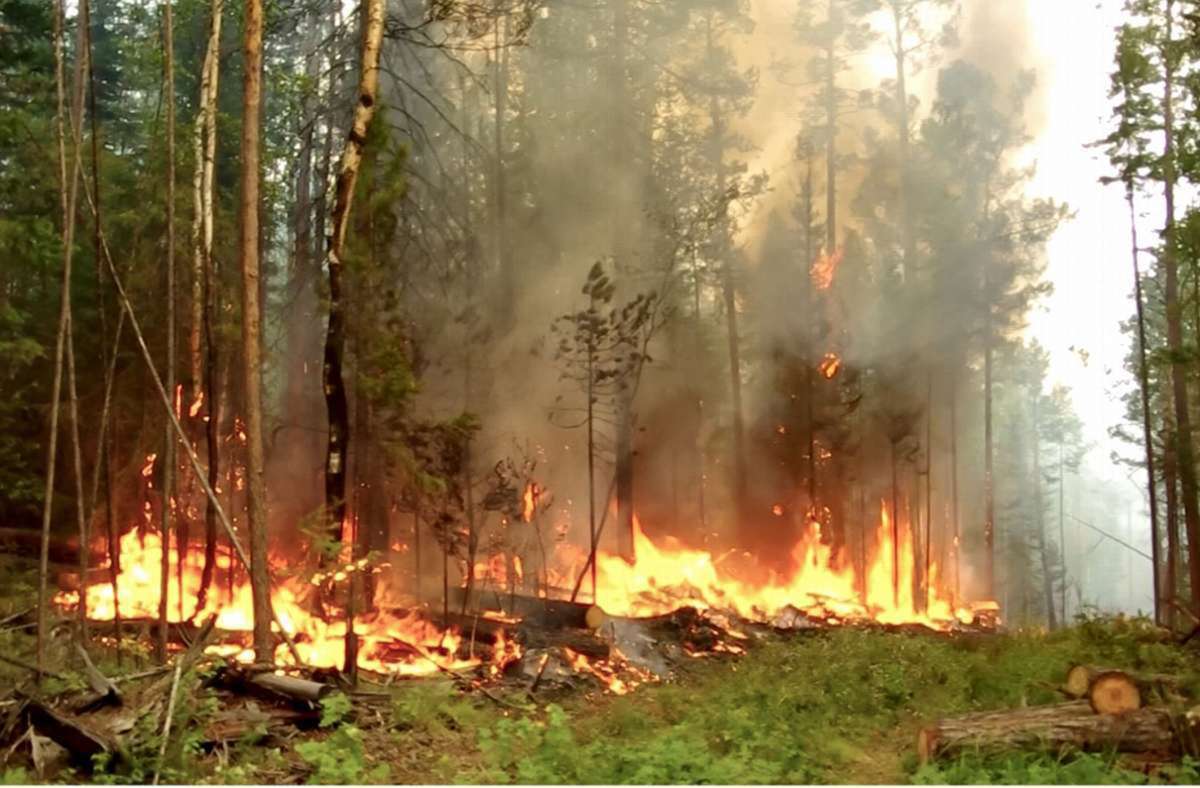 In der arktischen Tundra und in den Wäldern im Norden waren Waldbrände früher ungewöhnlich. Von 1996 bis 2015 hat sich die durch Brände zerstörte Fläche in Sibirien aber verneunfacht (Bild: Waldbrand in der russischen Republik Sacha).