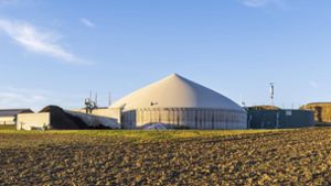 Biogas als Lösung der Energiekrise?
