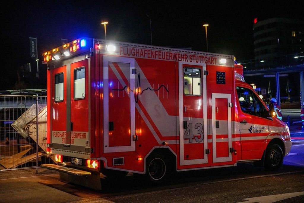 29.03.2019 Ein Verletzter bei Brand im S-Bahn-Gleisbereich am Stuttgarter Flughafen.
