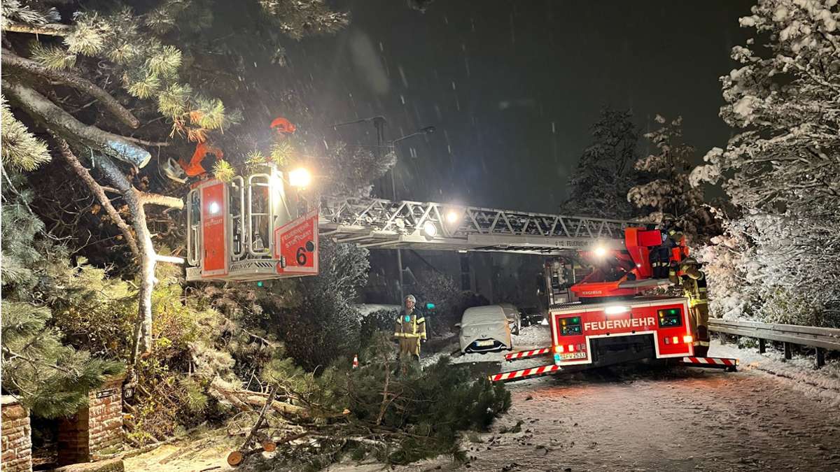 Winter in Stuttgart: Baum stürzt auf Stromleitung – Feuerwehreinsätze  wegen Schneefalls