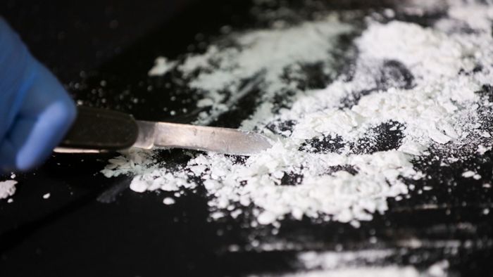 Kokain im Millionenwert landet im Biomüll