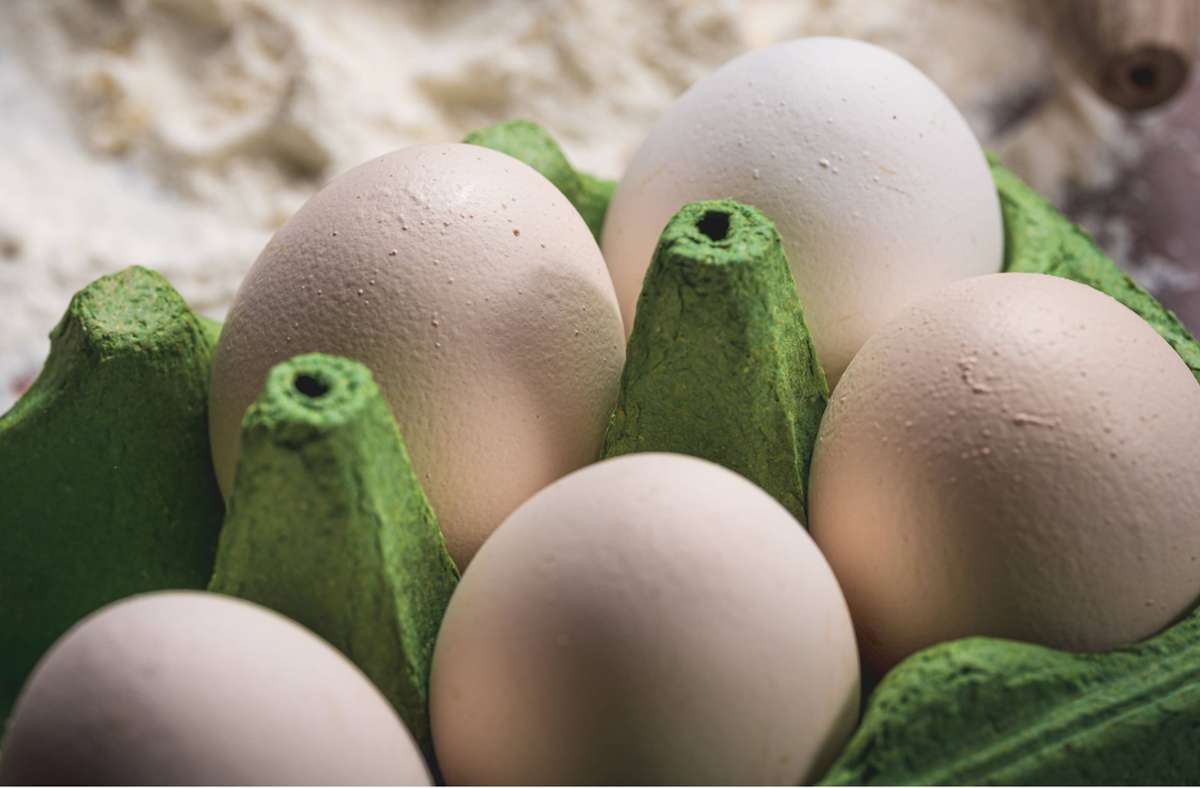 Lebensmittelhersteller Berghof Glatt: Eier-Rückruf wegen Salmonellen