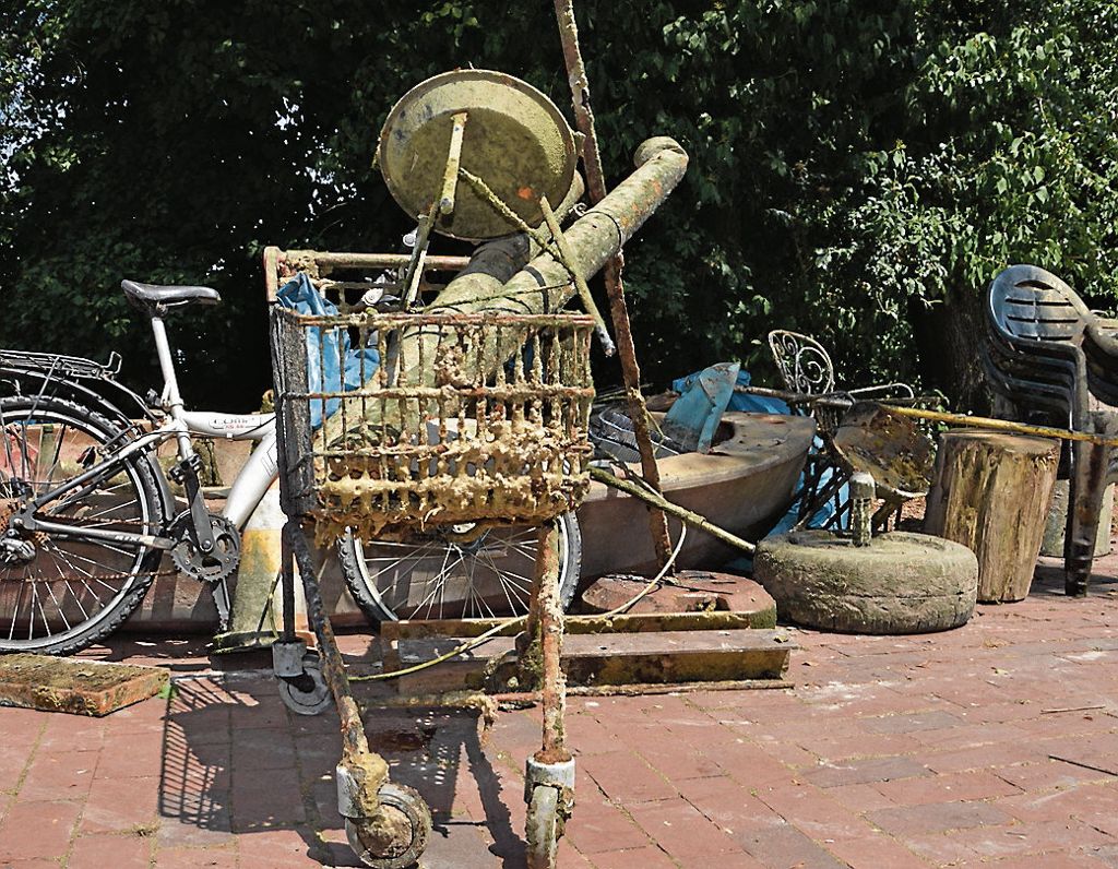Ein Einkaufswagen, ein Fahrrad, Gartenstühle, mehrere Grills und ein Boot - unglaublich was bei „Let‘s putz“ ans Tageslicht befördert wurde.