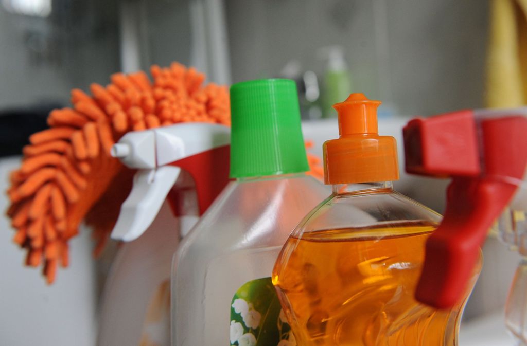 Putzhilfe für zuhause: So sauber sind Putzportale
