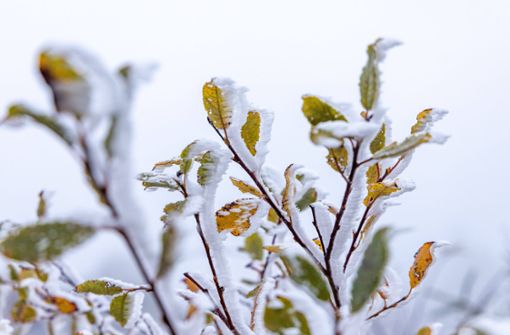 In vielen Teilen Deutschlands soll in den nächsten Tagen Schnee fallen (Symbolbild). Foto: IMAGO/Jan Eifert/IMAGO/Jan Eifert