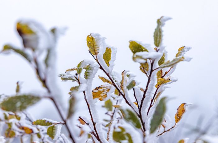 Wetter in Deutschland: Frost und Schnee zum Start in die Adventszeit