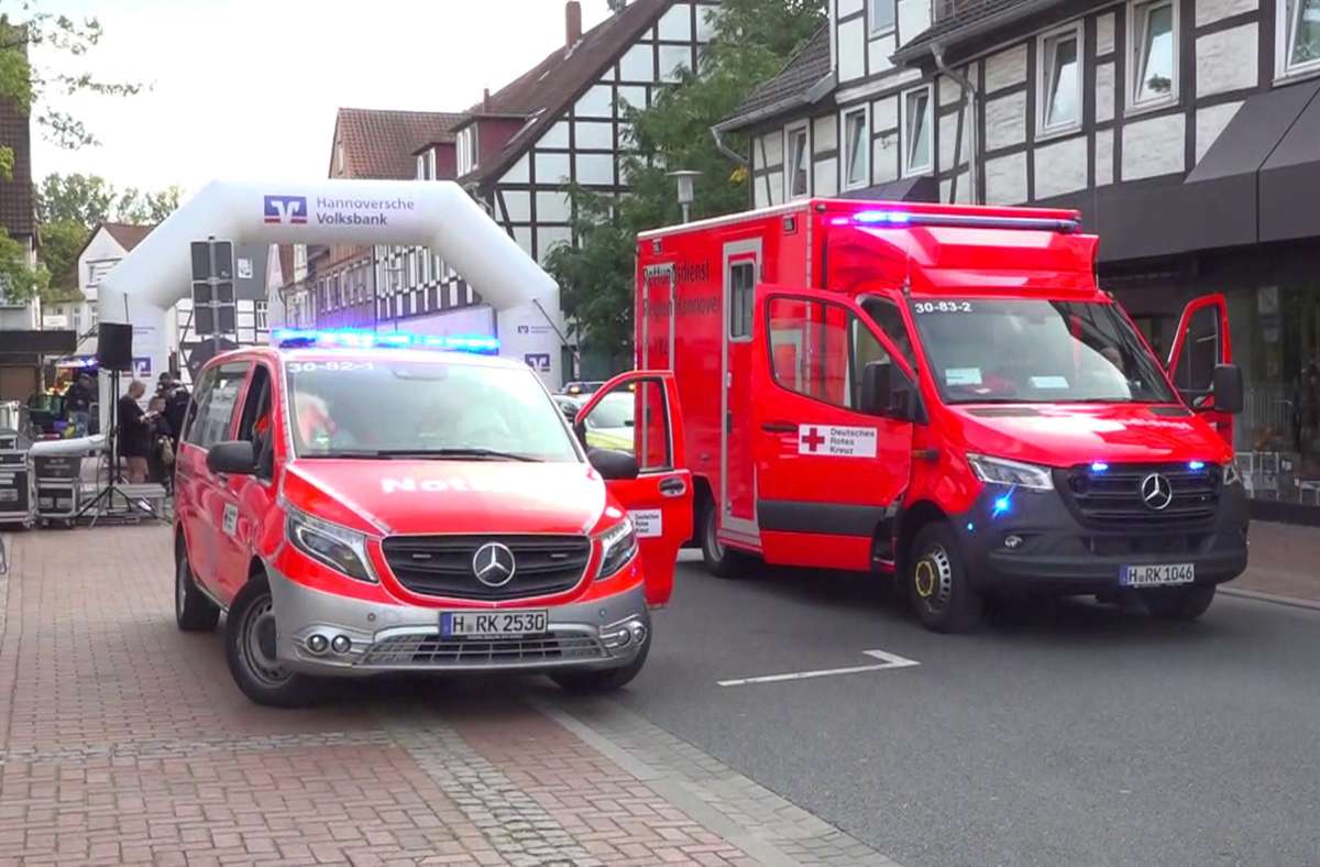 Volkslauf bei Hannover: Hornissenangriff fordert acht Verletzte – Lauf abgebrochen