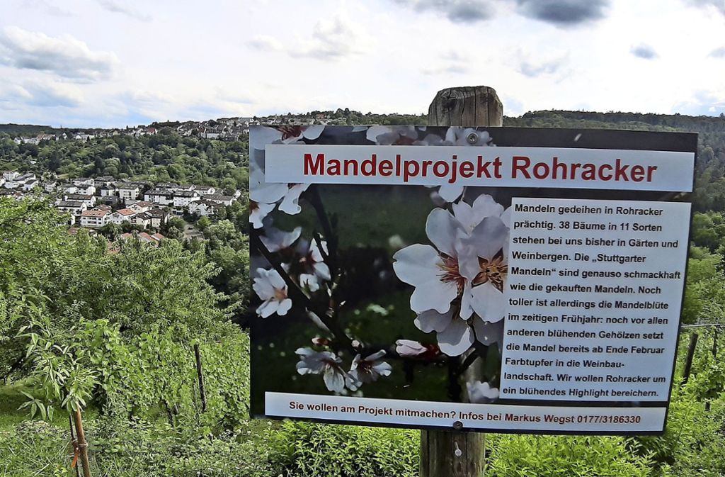 Das Schild am Hanggrundstück in der Burghalde informiert über das Projekt.