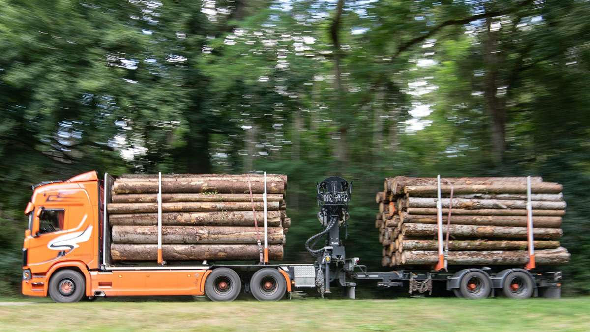 Nordrhein-Westfalen: Aus Versehen 1000 Bäume abgeholzt
