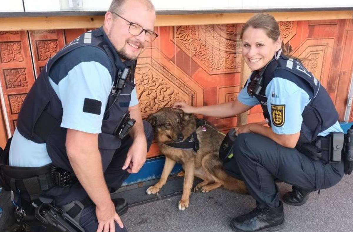 Polizeihundeführer in Stuttgart: Ausreißerin auf vier Pfoten fährt Bahn