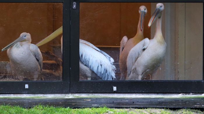 Karlsruher Zoo muss schließen
