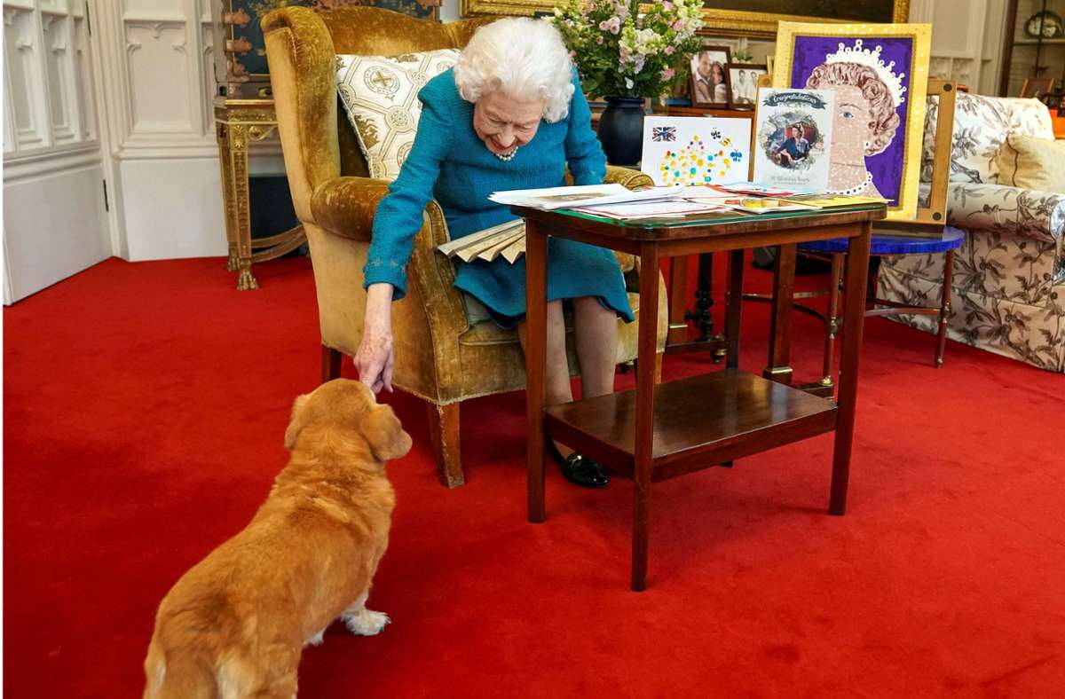 Vierbeiner der Queen: Was jetzt aus den royalen Hunden wird