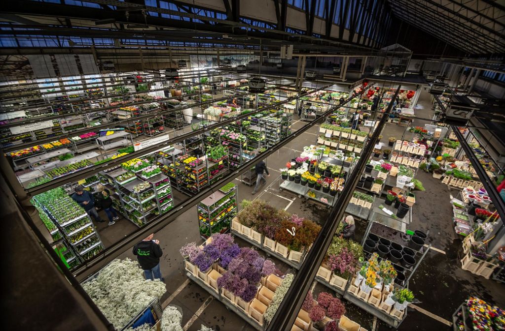 Streit um Stuttgarter Blumengroßmarkt: Alle  warten auf das Urteil des Gerichts