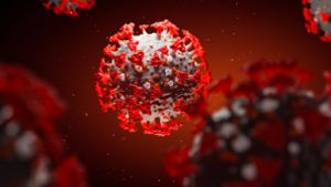 Wie Forscher  das Virus besiegen wollen