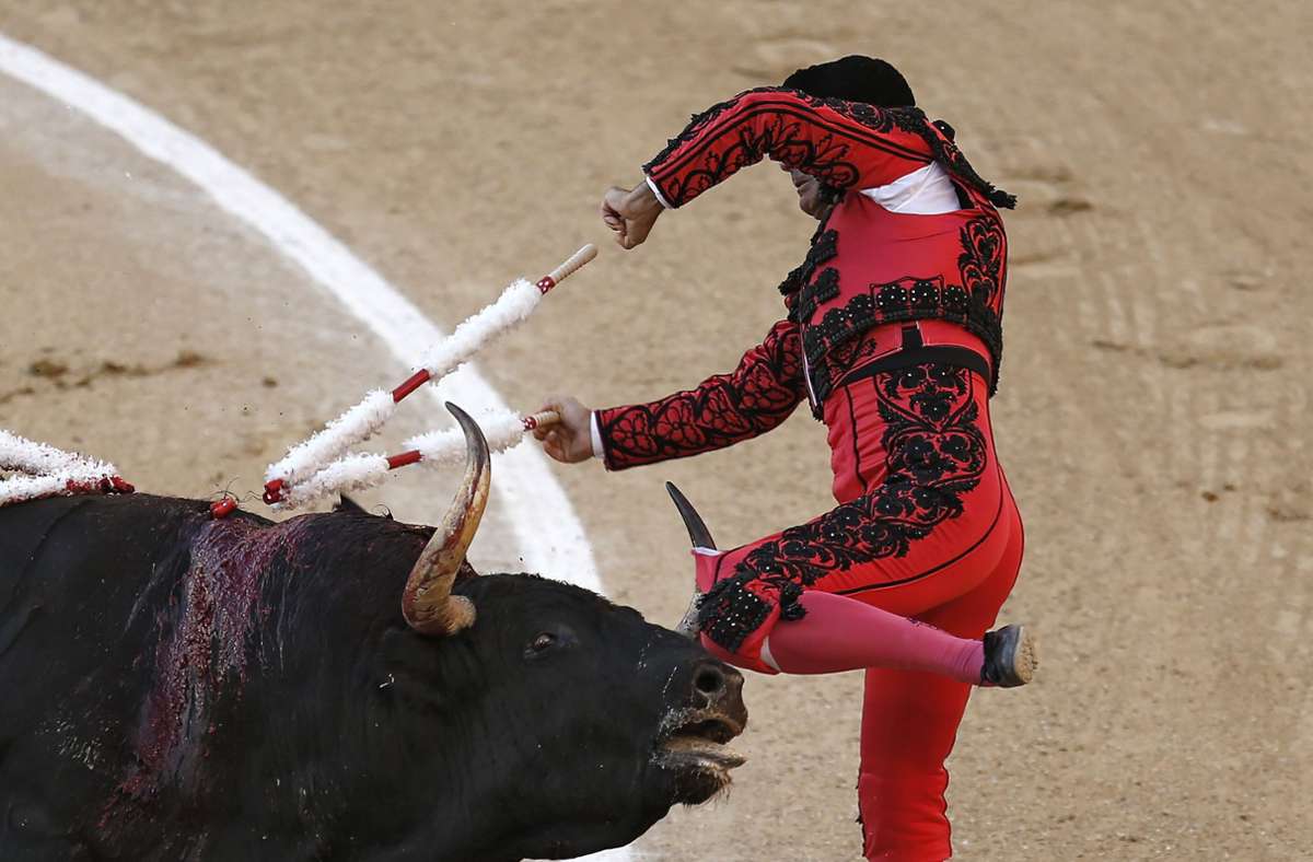 Symbolbild Stierkampf, eine grausame Tradition. Foto: dpa/Francisco Seco