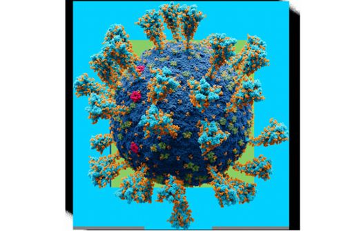 Grafische Darstellung des Corona-Virus SARS-CoV-2 in 3D-Optik –  folgende Bestandteile des Virus sind darauf  zu erkennen:  Hülle des Coronavirus (dunkelblau);﻿ Spike-Protein (hellblau); ﻿Envelope-(E)-Protein (rot);  ﻿Membrane-(M)-Protein ﻿(grün) Glucose (orange). Foto: Wikipedia commons/Alexey Solodovnikov, Valeria Arkhipova/CC BY-SA 4.0