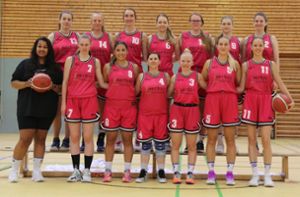 Basketball Oberliga: TSV Malmsheim: Anwerbung von Spielerinnen via Social Media