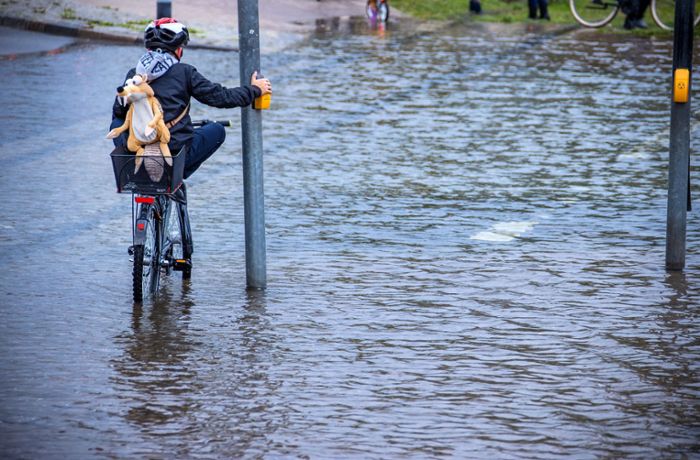 Stürme und Fluten im Jahr  2021: Naturkatastrophen richten 280 Milliarden Dollar Schaden an