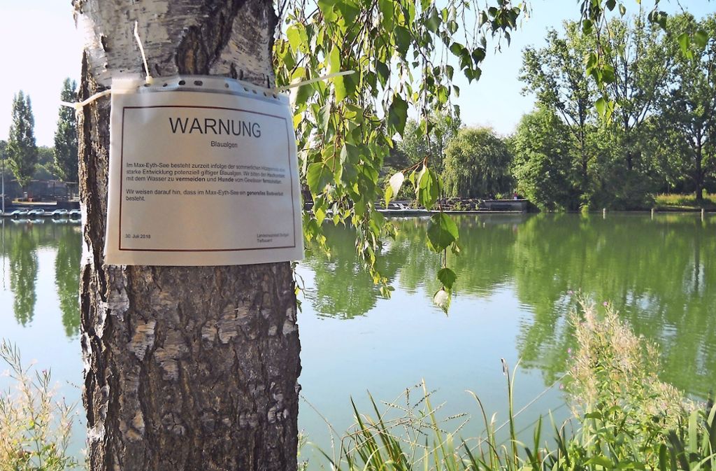 HofenStadt warnt Besucher  vor Wasserkontakt – Hunde sollten vom See ferngehalten werden: Blaualgen im Max-Eyth-See
