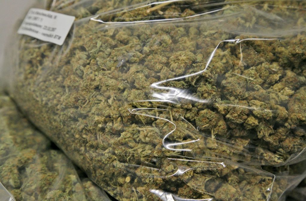 114 Millionen Euro Straßenverkaufswert: Belgische Polizei stellt 11,5 Tonnen Cannabis sicher