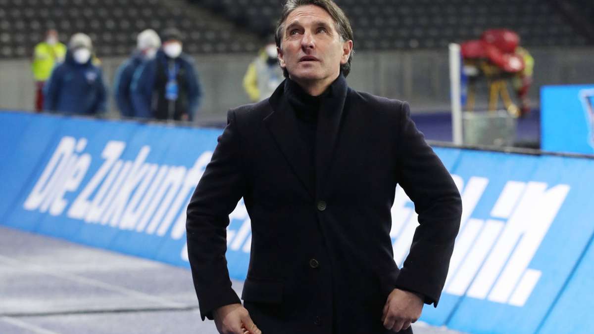 Trainer des VfB Stuttgart: Warum der VfB mit Bruno Labbadia einen Neustart wagt