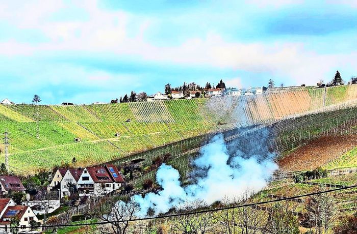 Grüngut in den Oberen Neckarvororten: Ärger über Gartenfeuer