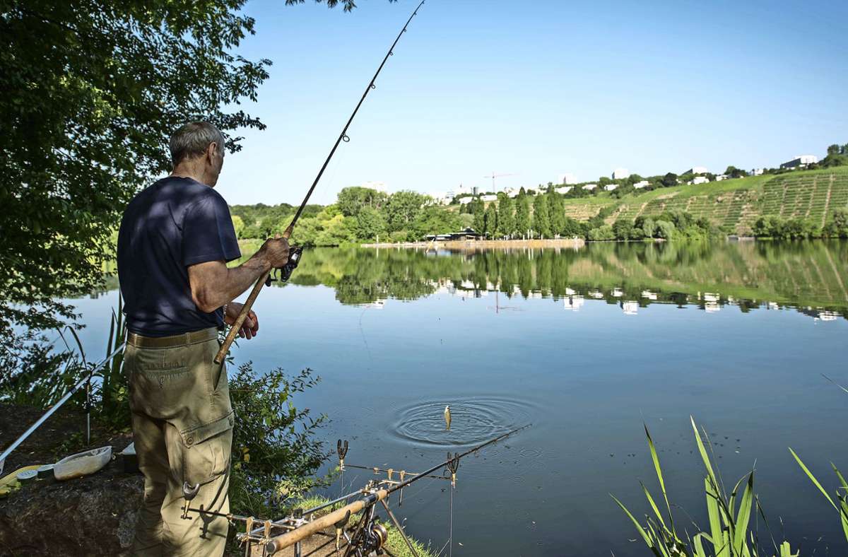 Fischen in Stuttgart im  Max-Eyth-See: Klage gegen das Nachtangelverbot eingereicht