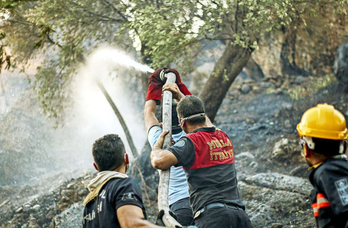 Brände in der Türkei und in Griechenland: Wie die Türkei das Ausmaß der Katastrophe zu vertuschen versucht