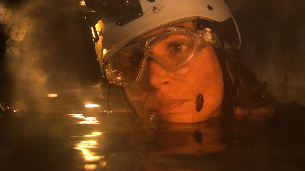 Dschungelcamp 2023: Tessa Bergmeiers Tier-Talk im unterirdischen Kanalsystem