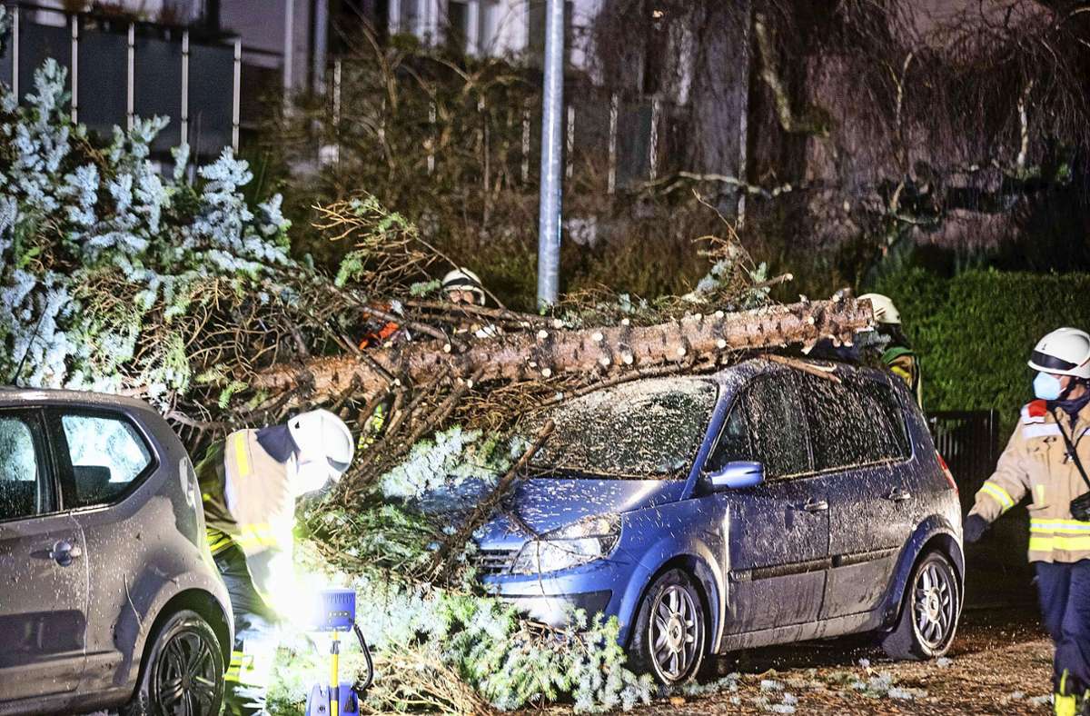 In der Maiklerstraße in Fellbach stürzte ein Baum auf ein geparktes Auto.