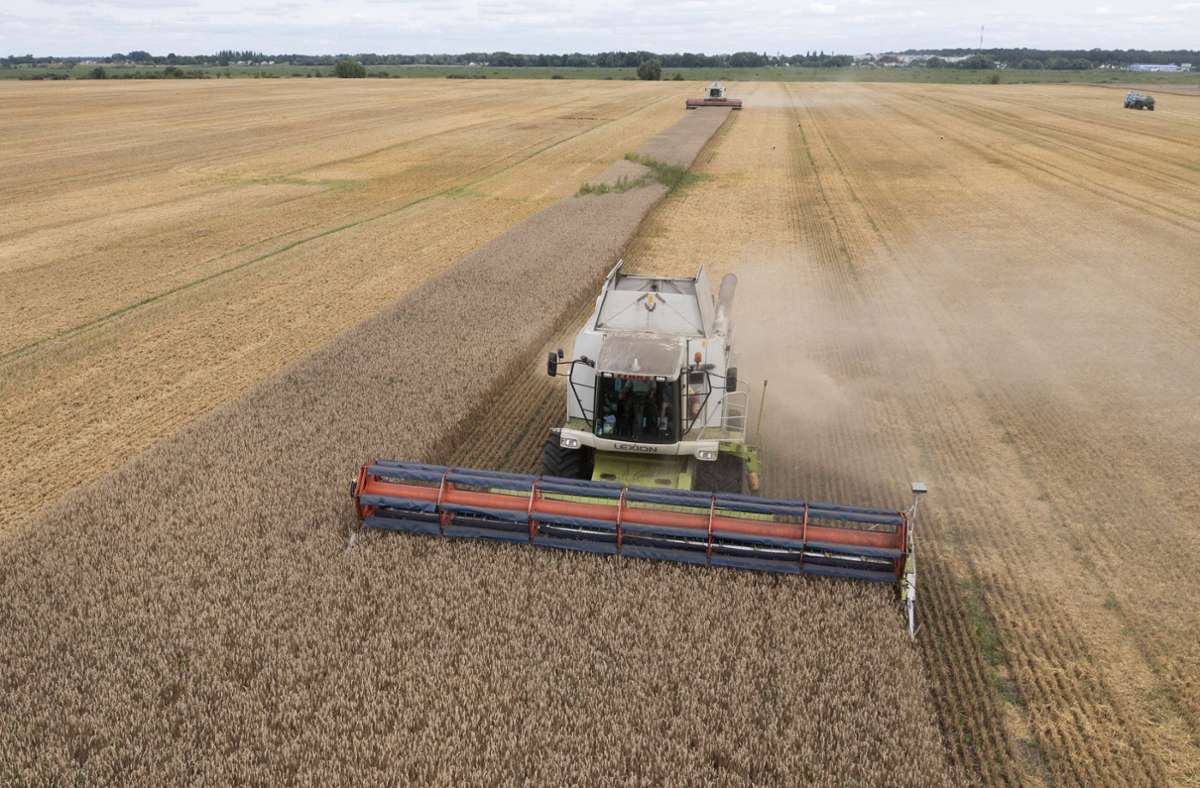 Ukrainisches Getreide: EU-Kommission beendet Handelsbeschränkungen