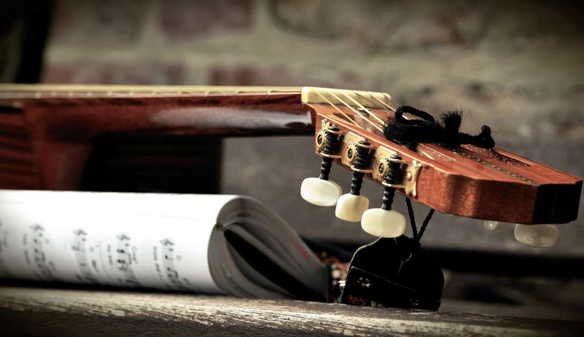Musizieren oder den lieben langen Tag lesen, auch das könnte weitaus mehr als ein Hobby sein.  Foto: pixabay