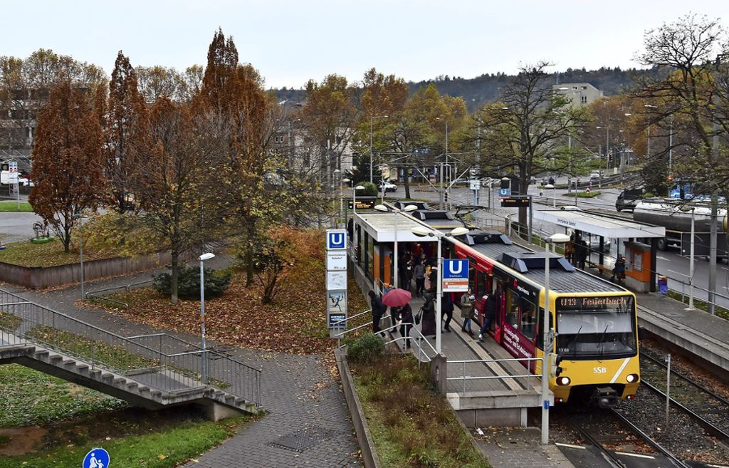 Für die Kanalerneuerung müssen mindestens sechs Pflanzen an der U-13-Haltestelle weichen: Bäume auf Karl-Benz-Platz werden gefällt