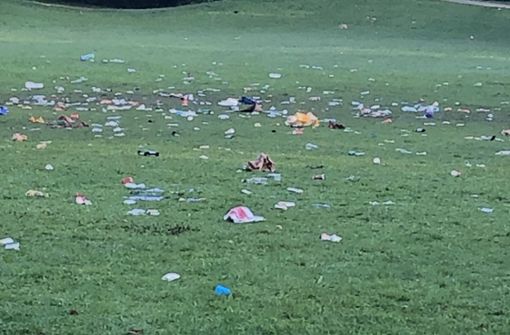 Jede Menge Müll,  Scherben und Unrat haben  Feiernde am Max-Eyth-See am Samstagnacht hinterlassen. Foto:  