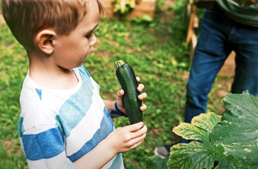 Wichtige medizinische Werte fallen bei vegetarisch ernährten Kindern ähnlich aus wie bei Kindern, die Fleisch essen. Foto: imago/Cavan Images