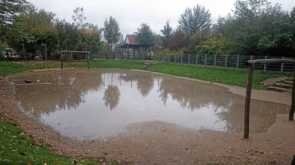 BURGHOLZHOF:  Nach Regenfällen ist der Bolzplatz tagelang für Kinder unbespielbar - Problem ist die fehlende Drainage: Knöcheltief im Wasser