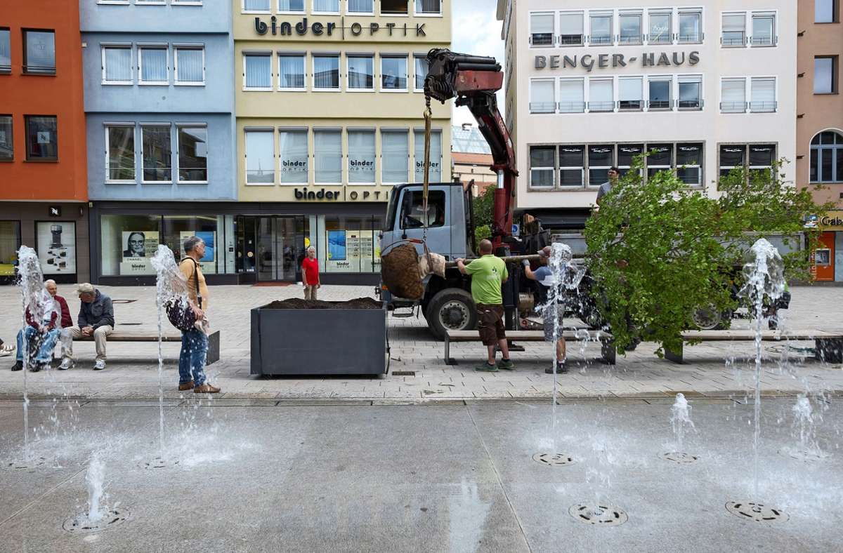 Marktplatz in Stuttgart: Die ersten mobilen Bäume stehen