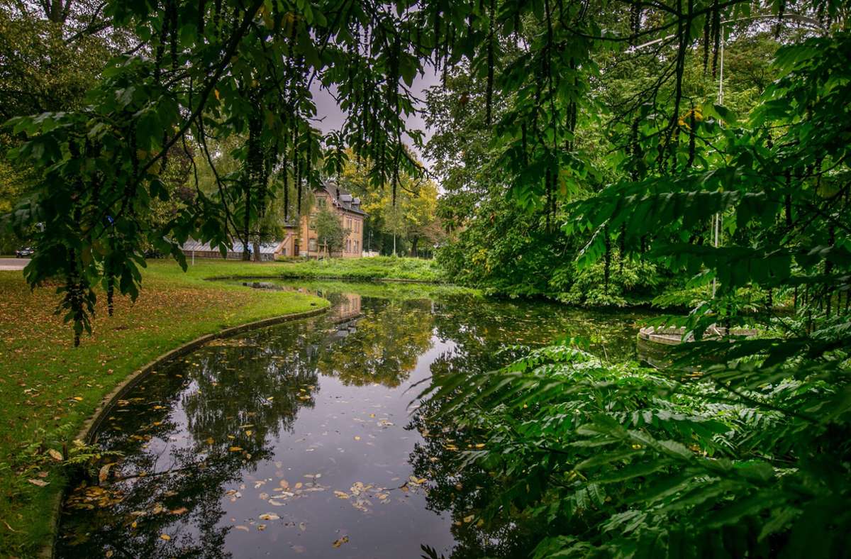 Natur, alte Bäume und Kunst bietet der Merkelpark in Esslingen. Foto: Roberto Bulgrin