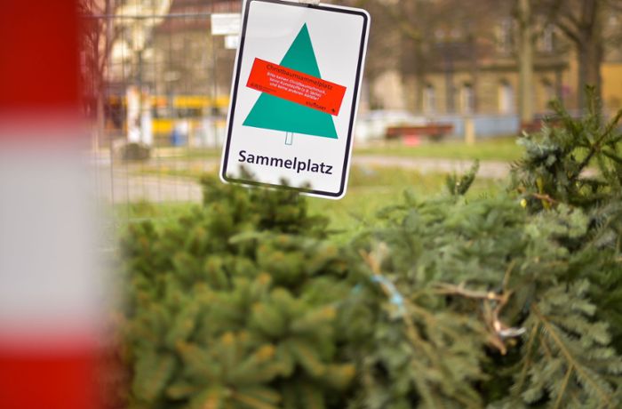 Stuttgart: Wohin mit noch nicht entsorgten Weihnachtsbäumen?