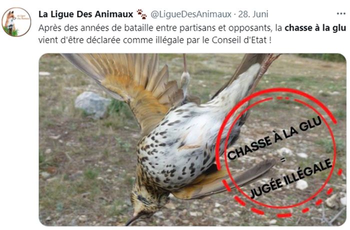 Tierschutz in Frankreich: Leimrutenjagd wird in Frankreich verboten