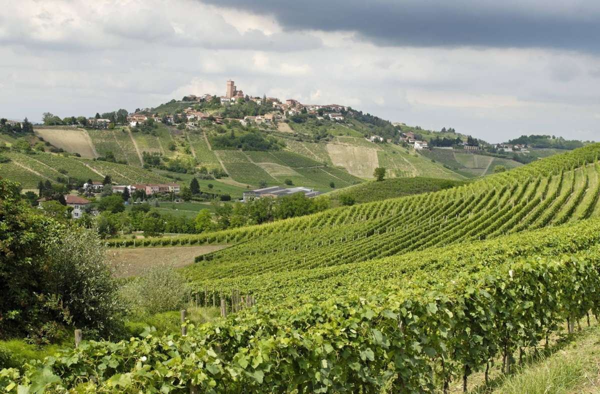 Das Piemont zählt zu den besten Weinbaugebieten der Welt, liegt jedoch, was den Ertrag betrifft, innerhalb Italiens auf den hinteren Rängen.