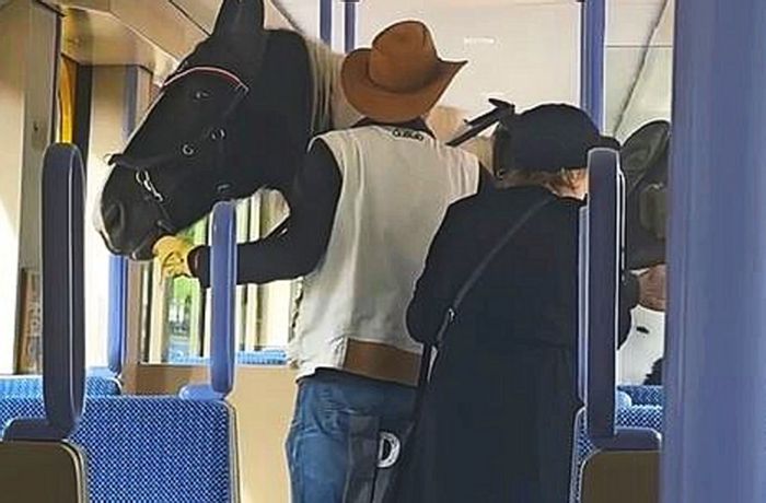 Kurioses aus Fellbach: Mann steigt mit Pferd in Stadtbahn ein