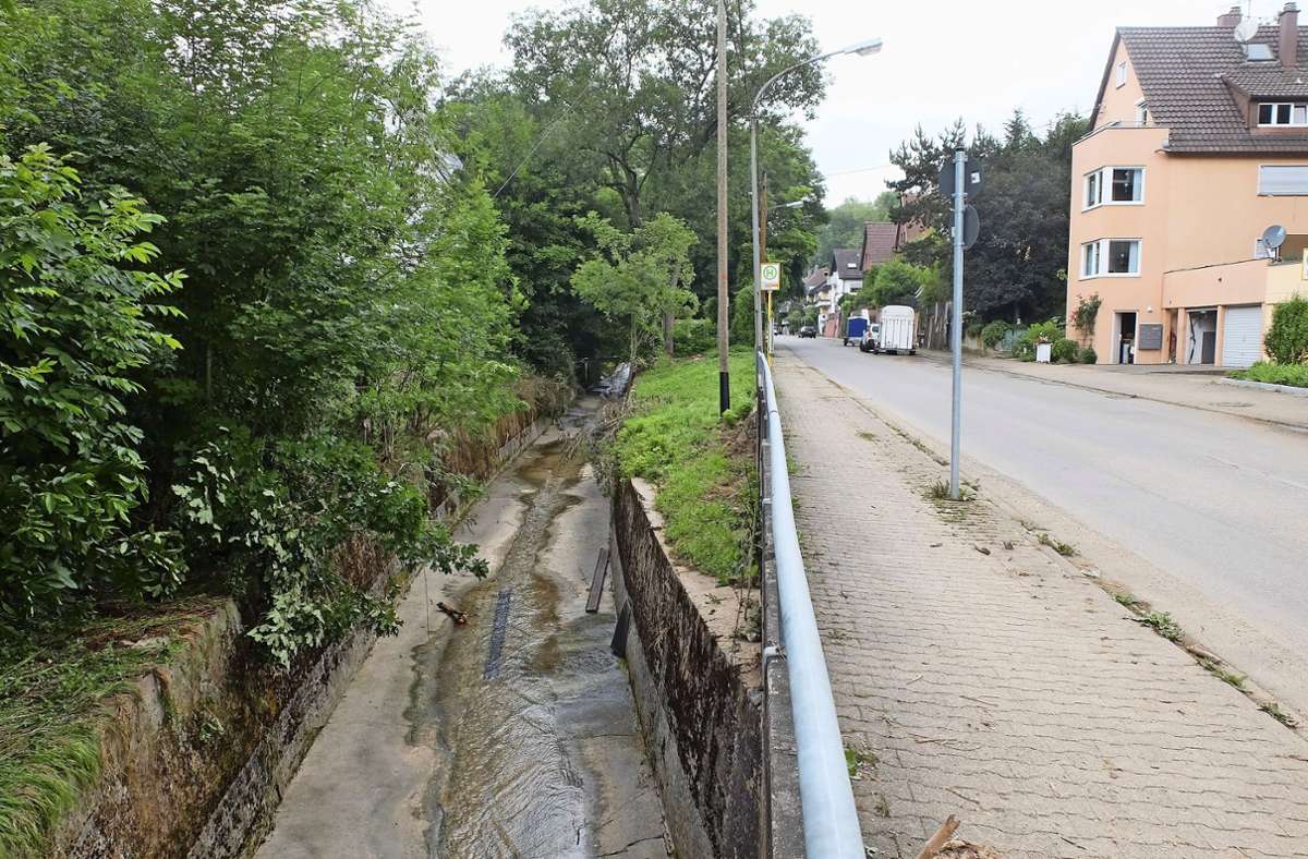 Umwelt in Mühlhausen: Hochwasserschutz zügig umsetzen