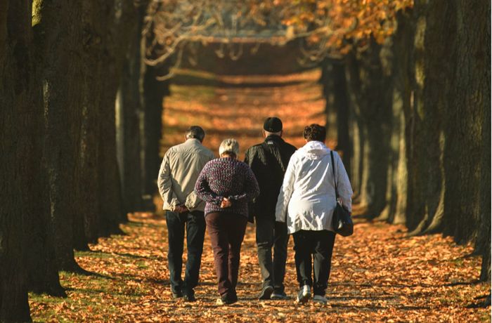 Rentenversicherung warnt vor Risiken: Rentenerhöhung fällt 2021 wohl aus