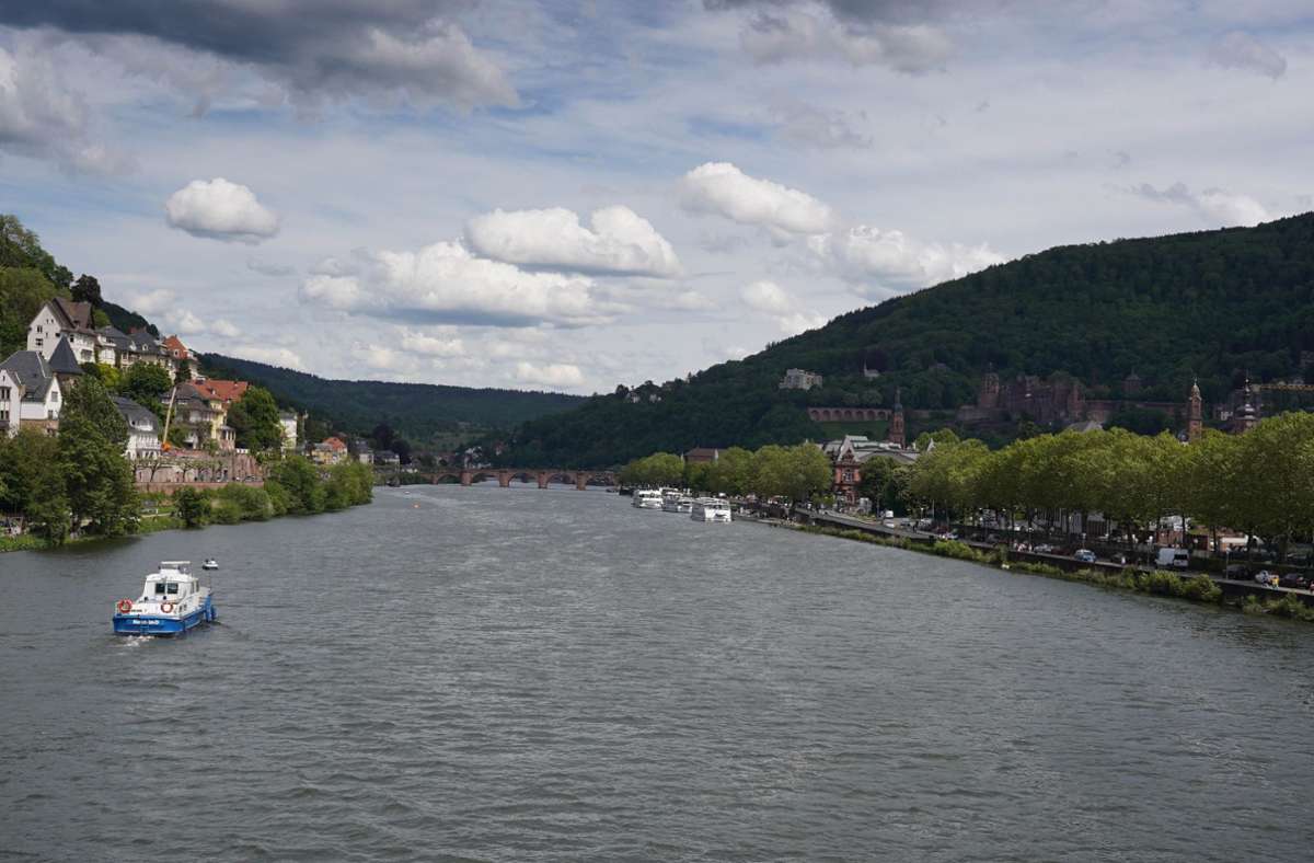 Heidelberg: Schwimmerin aus Neckar gerettet