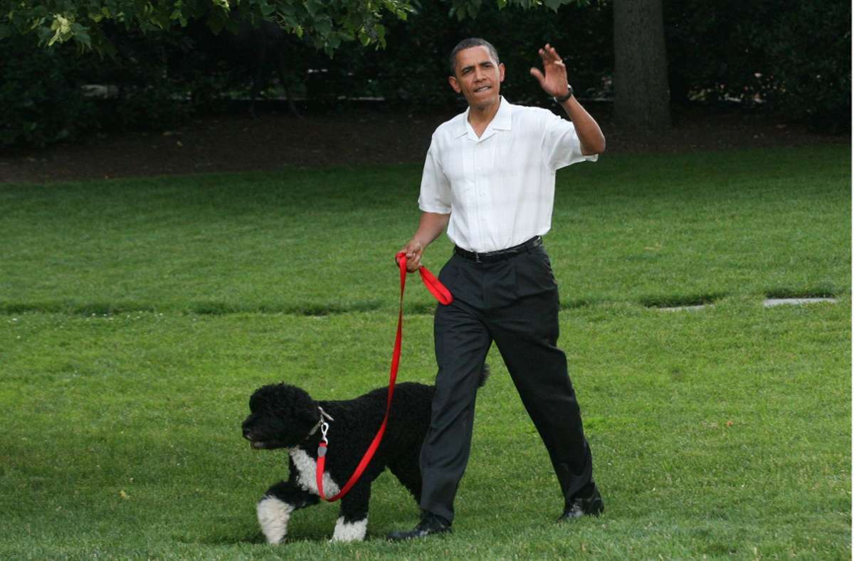 Barack Obama mit Hund Bo – inzwischen ist der Vierbeiner gestorben.