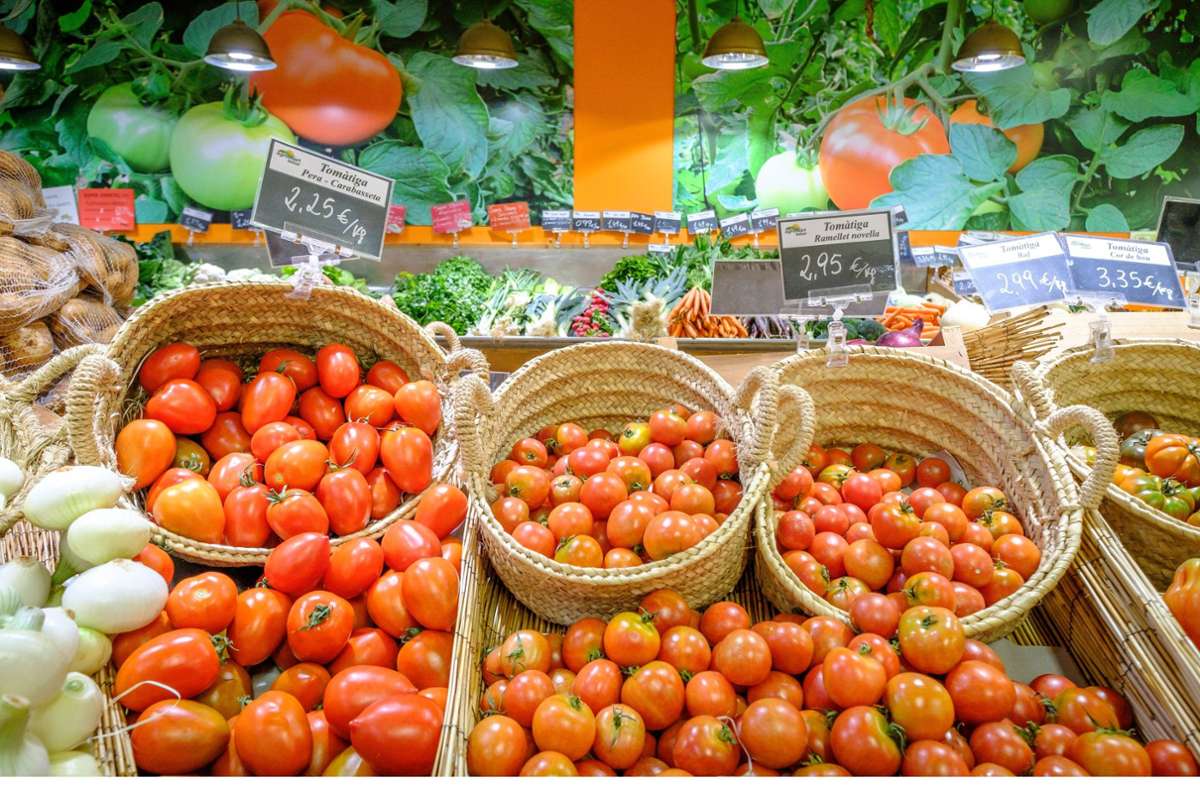 Öko-Test: Schimmelpilzgifte besonders häufig in Bio-Tomatenmark